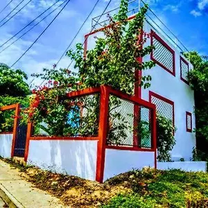 Hamacas Pensión
